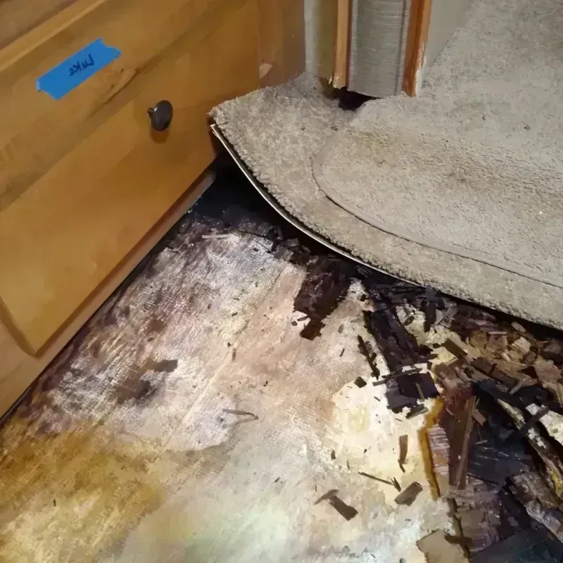 Wood Floor Water Damage in Harrison County, OH